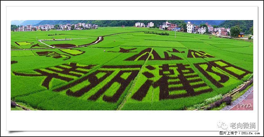 【春天，广西桂林灌阳县向您发出邀请！】开篇 - 游山玩水 - 北京生活社区 - 北京28生活网 bj.28life.com