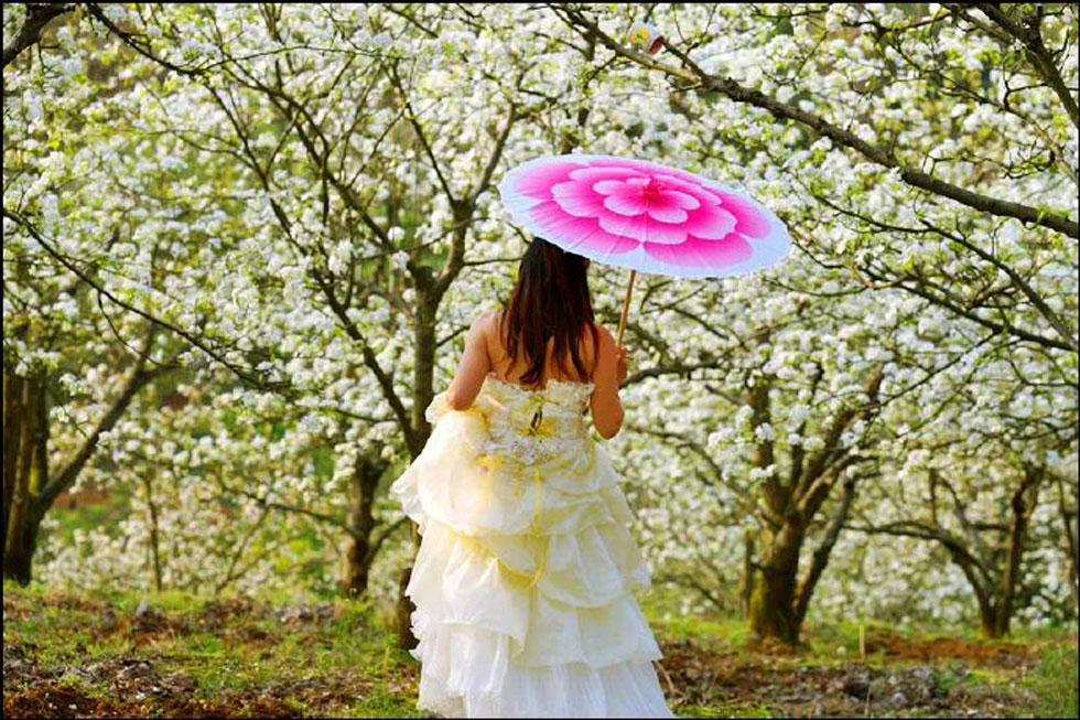 【春天，广西桂林灌阳县向您发出邀请！】我们在灌阳看梨花 - 游山玩水 - 北京生活社区 - 北京28生活网 bj.28life.com