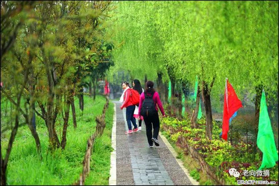 【春天，广西桂林灌阳县向您发出邀请！】江口老街又逢春 - 游山玩水 - 北京生活社区 - 北京28生活网 bj.28life.com