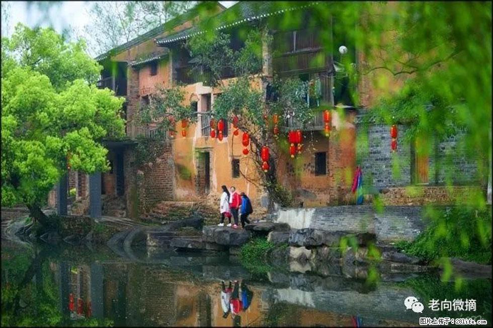 【春天，广西桂林灌阳县向您发出邀请！】江口老街又逢春 - 游山玩水 - 北京生活社区 - 北京28生活网 bj.28life.com