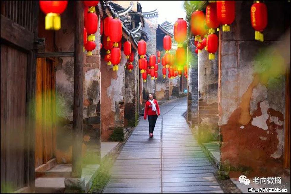 【春天，广西桂林灌阳县向您发出邀请！】江口老街又逢春 - 游山玩水 - 北京生活社区 - 北京28生活网 bj.28life.com