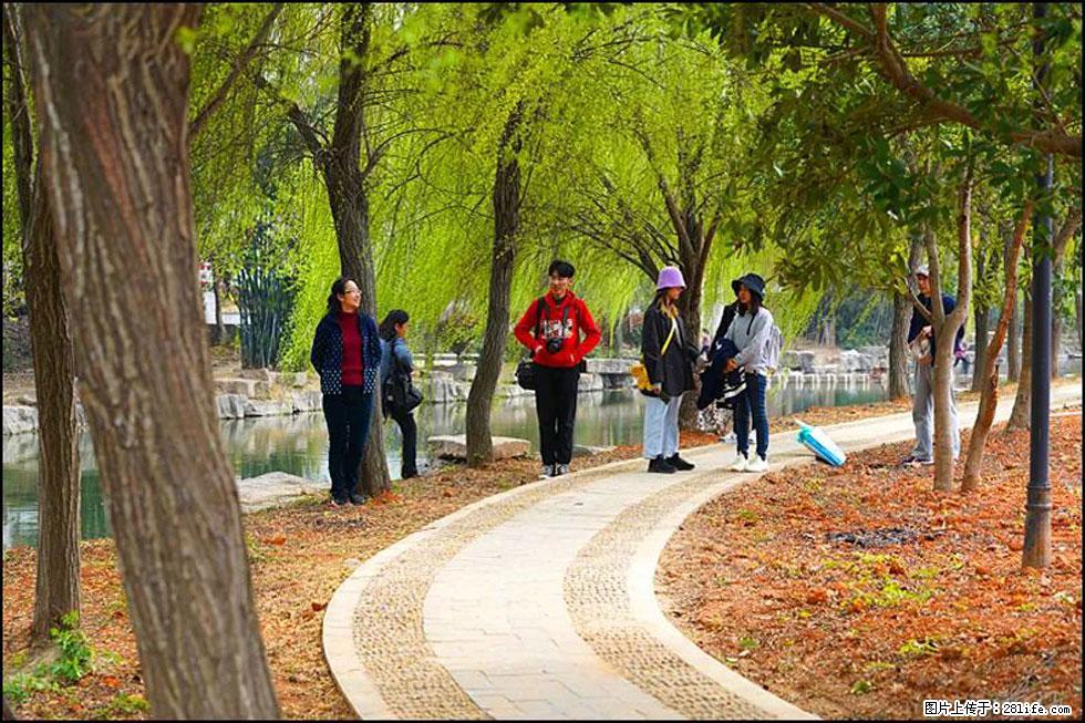 【春天，广西桂林灌阳县向您发出邀请！】江口老街又逢春 - 游山玩水 - 北京生活社区 - 北京28生活网 bj.28life.com