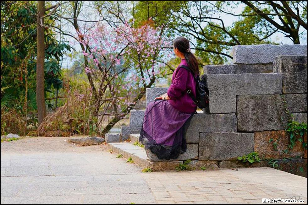 【春天，广西桂林灌阳县向您发出邀请！】江口老街又逢春 - 游山玩水 - 北京生活社区 - 北京28生活网 bj.28life.com