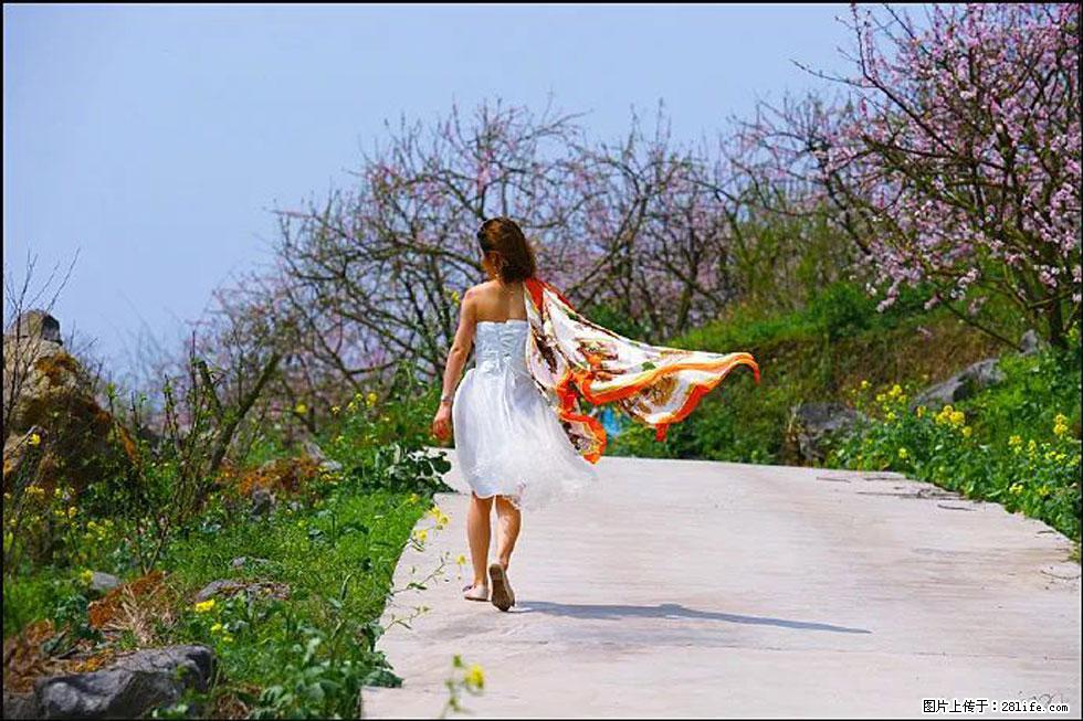 【春天，广西桂林灌阳县向您发出邀请！】望月岭上桃花开 - 游山玩水 - 北京生活社区 - 北京28生活网 bj.28life.com