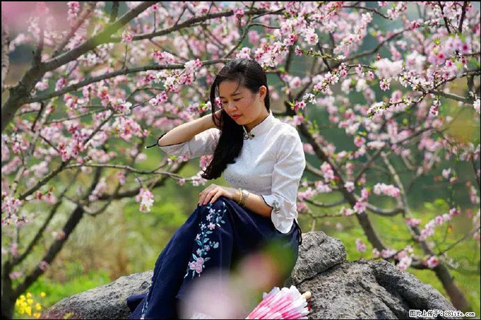 【春天，广西桂林灌阳县向您发出邀请！】望月岭上桃花开 - 游山玩水 - 北京生活社区 - 北京28生活网 bj.28life.com