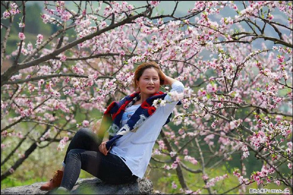 【春天，广西桂林灌阳县向您发出邀请！】望月岭上桃花开 - 游山玩水 - 北京生活社区 - 北京28生活网 bj.28life.com