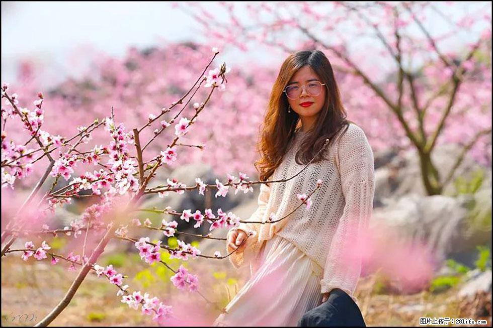 【春天，广西桂林灌阳县向您发出邀请！】望月岭上桃花开 - 游山玩水 - 北京生活社区 - 北京28生活网 bj.28life.com