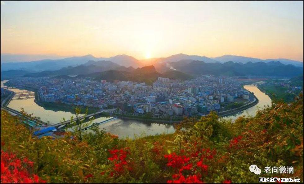 【春天，广西桂林灌阳县向您发出邀请！】登麒麟山，相约映山红 - 游山玩水 - 北京生活社区 - 北京28生活网 bj.28life.com