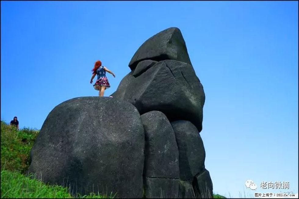 【春天，广西桂林灌阳县向您发出邀请！】宝盖山上映山红 - 游山玩水 - 北京生活社区 - 北京28生活网 bj.28life.com
