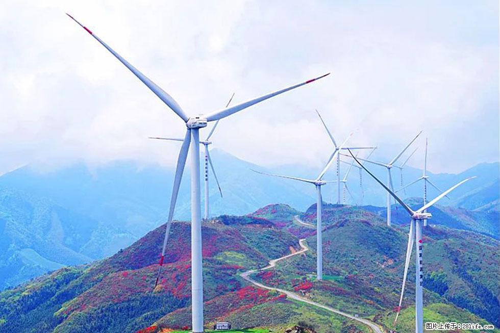 【春天，广西桂林灌阳县向您发出邀请！】春木界上映山红 - 游山玩水 - 北京生活社区 - 北京28生活网 bj.28life.com