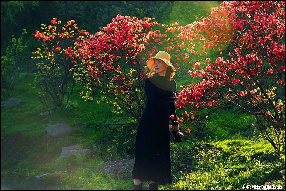 【春天，广西桂林灌阳县向您发出邀请！】春木界上映山红 - 游山玩水 - 北京生活社区 - 北京28生活网 bj.28life.com