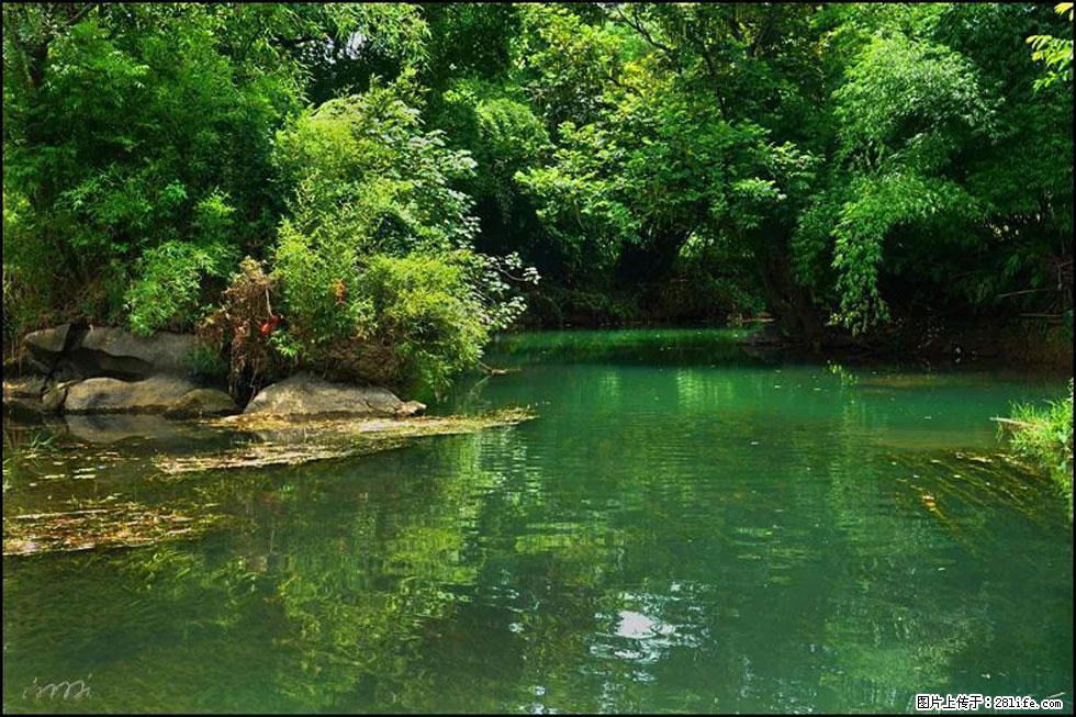 【春天,广西桂林灌阳县向您发出邀请!】如梦似幻莲溪庐 - 游山玩水 - 北京生活社区 - 北京28生活网 bj.28life.com