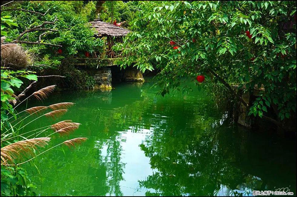 【春天,广西桂林灌阳县向您发出邀请!】如梦似幻莲溪庐 - 游山玩水 - 北京生活社区 - 北京28生活网 bj.28life.com
