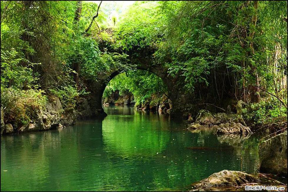 【春天,广西桂林灌阳县向您发出邀请!】如梦似幻莲溪庐 - 游山玩水 - 北京生活社区 - 北京28生活网 bj.28life.com