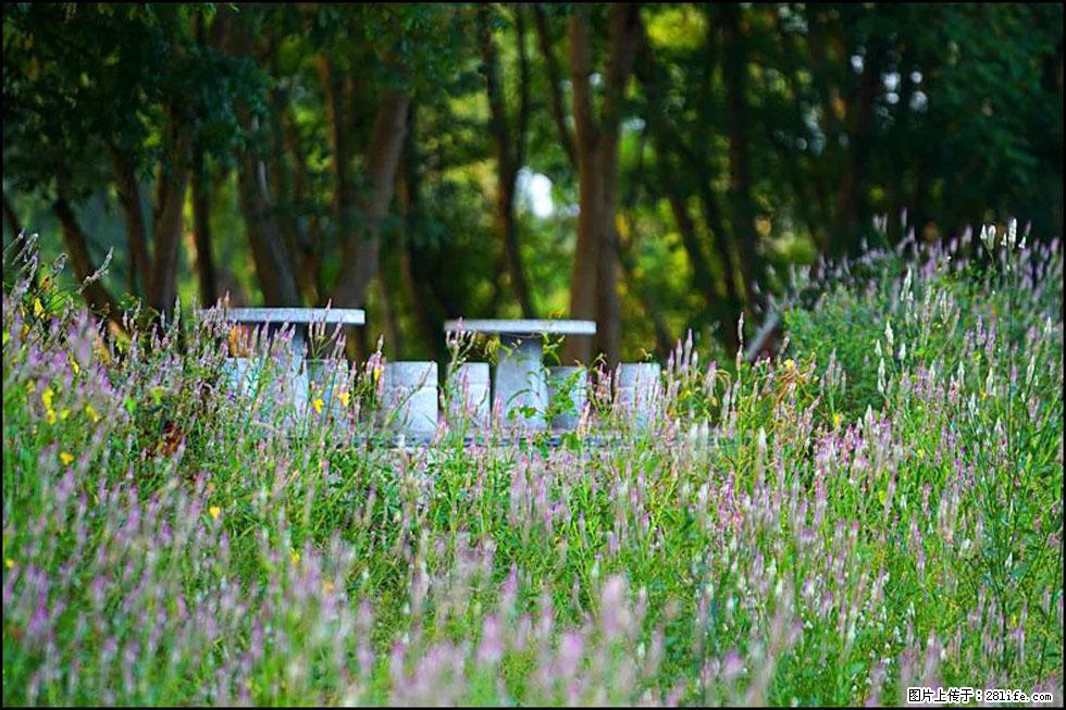 【春天,广西桂林灌阳县向您发出邀请!】熊家寨湿地公园 - 游山玩水 - 北京生活社区 - 北京28生活网 bj.28life.com