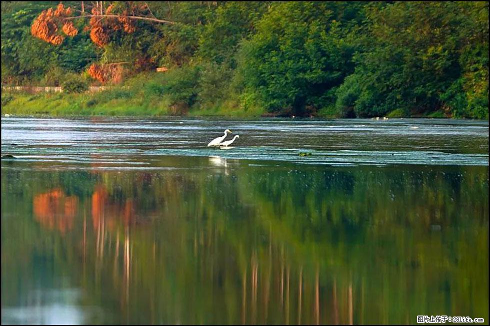 【春天,广西桂林灌阳县向您发出邀请!】熊家寨湿地公园 - 游山玩水 - 北京生活社区 - 北京28生活网 bj.28life.com