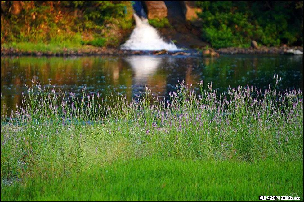 【春天,广西桂林灌阳县向您发出邀请!】熊家寨湿地公园 - 游山玩水 - 北京生活社区 - 北京28生活网 bj.28life.com