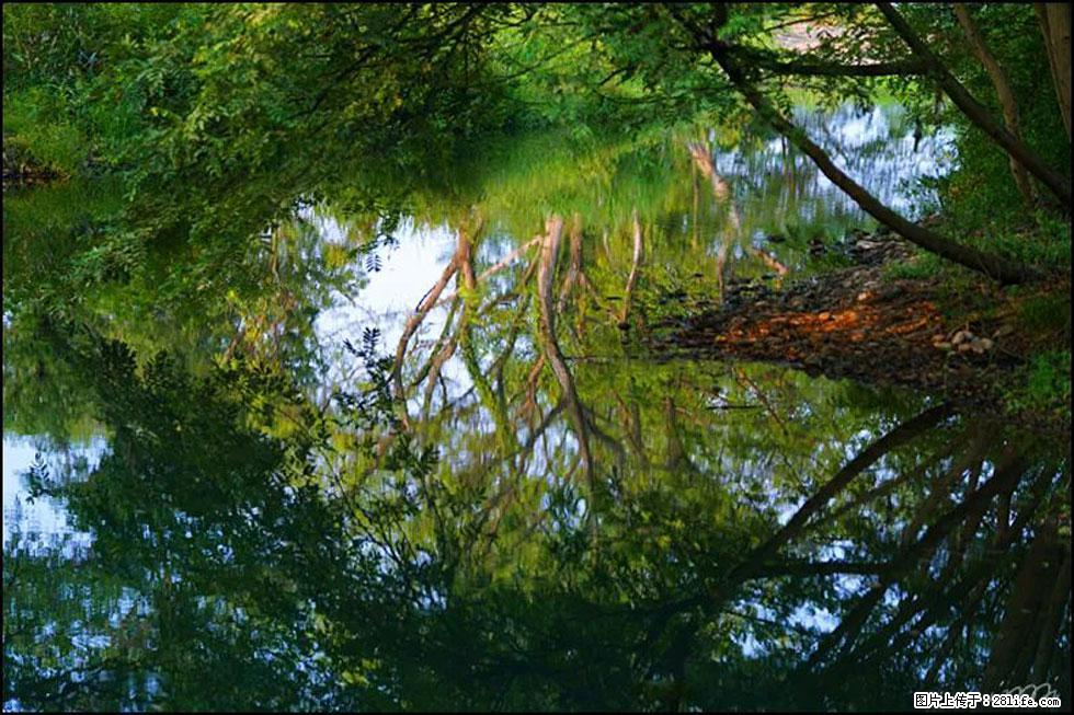 【春天,广西桂林灌阳县向您发出邀请!】熊家寨湿地公园 - 游山玩水 - 北京生活社区 - 北京28生活网 bj.28life.com