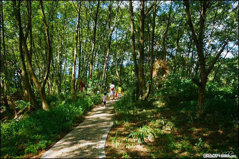 【春天,广西桂林灌阳县向您发出邀请!】熊家寨湿地公园 - 游山玩水 - 北京生活社区 - 北京28生活网 bj.28life.com