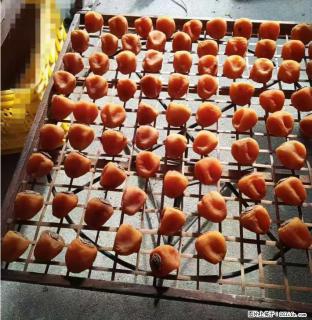 广西桂林平乐桥亭【柿饼之乡】2025年纯手工制作、无任何添加剂的第一批柿饼准备上市了，欢迎联系订购！ - 北京28生活网 bj.28life.com