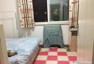 (单间出租)国贸双井百子湾大郊亭九龙山易构空间后现代城次卧出租看房随时 - 北京28生活网 bj.28life.com