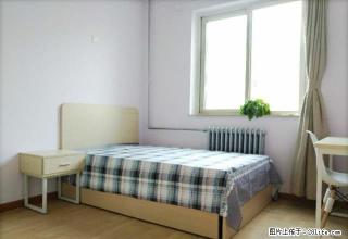 (单间出租)魏公村总政干休所 农科院 军艺 精装单间 出租 看房联系 - 北京28生活网 bj.28life.com