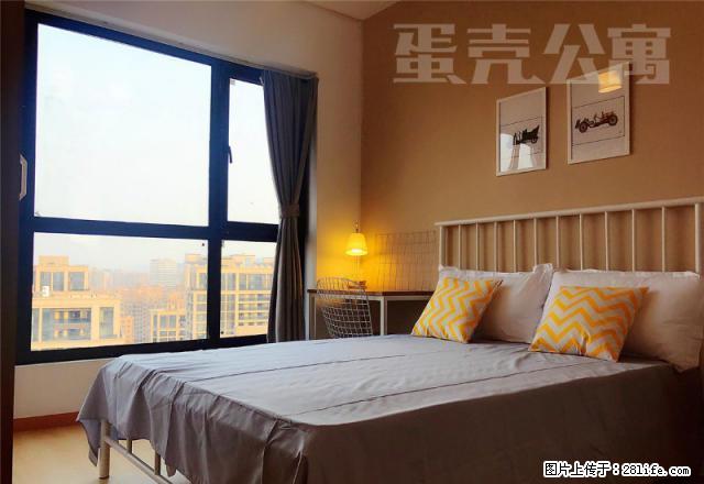 (单间出租)金隅自由筑(一期)蛋壳公寓直租南北向采光好 - 房屋出租 - 房屋租售 - 北京分类信息 - 北京28生活网 bj.28life.com