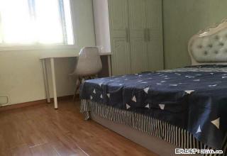 (单间出租)三里屯盈科中心工人体育场中纺里小区精装大次卧出租随时看房 - 北京28生活网 bj.28life.com