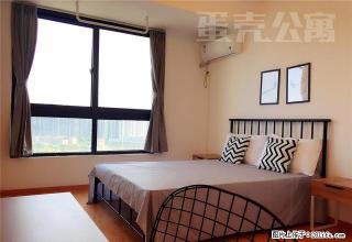 (单间出租)独立阳台+实木地板 要不先来看一看？ - 北京28生活网 bj.28life.com