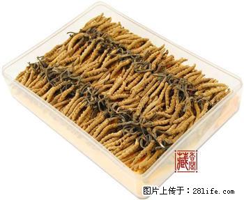 北京同仁堂回收冬虫夏草13611114534收购阿胶 - 礼品刀具 - 特色礼品 - 北京分类信息 - 北京28生活网 bj.28life.com