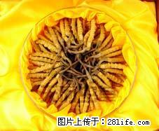 丰台区回收冬虫夏草13021062888《多少钱》回收虫草 - 其他广告 - 广告专区 - 北京分类信息 - 北京28生活网 bj.28life.com