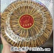 大兴区收购地址13611114534黄村回收冬虫夏草燕窝 - 土特产 - 饮食特产 - 北京分类信息 - 北京28生活网 bj.28life.com