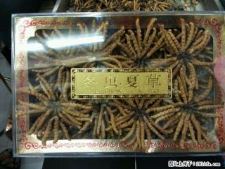 北京回收冬虫夏草地址13021062888北京回收海参阿胶 - 北京28生活网 bj.28life.com