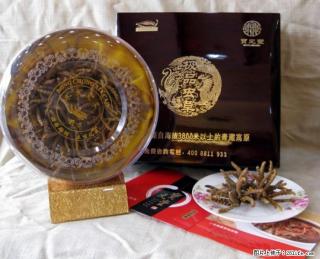 北京哪里有回收虫草13611114534上门回收冬虫夏草 - 北京28生活网 bj.28life.com