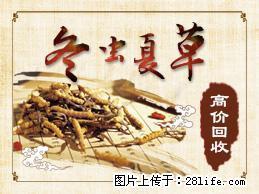 北京站回收冬虫夏草13581832588天坛回收燕窝 - 北京28生活网 bj.28life.com