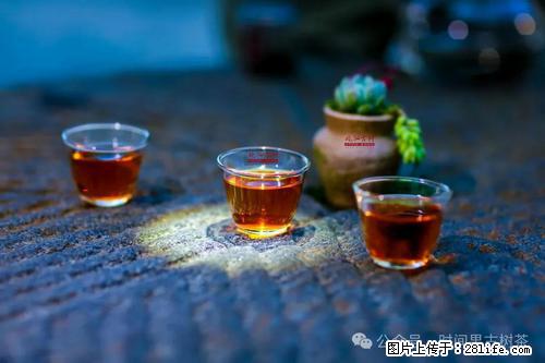 时间果百年古树2025年春红茶 - 购物交流 - 北京生活社区 - 北京28生活网 bj.28life.com