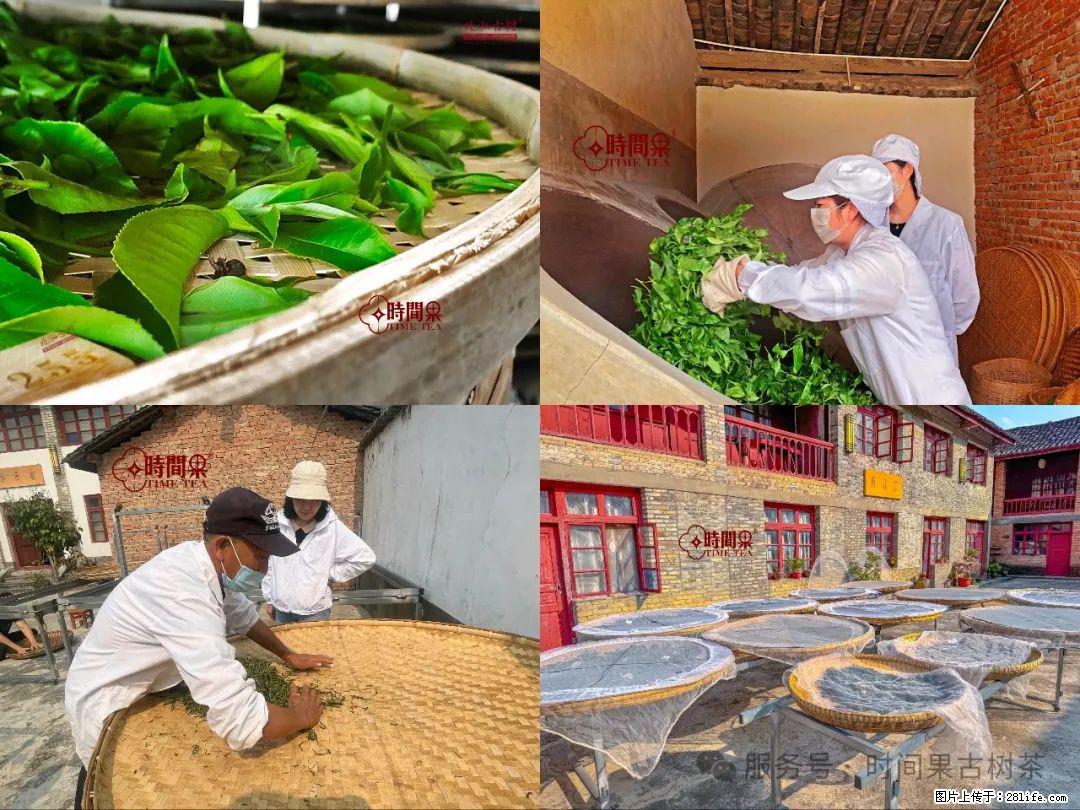 时间果百年古树龙珠普洱生茶 - 购物交流 - 北京生活社区 - 北京28生活网 bj.28life.com