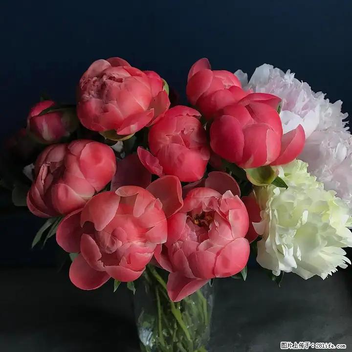 买鲜花的话在什么网站比较好? - 购物交流 - 北京生活社区 - 北京28生活网 bj.28life.com