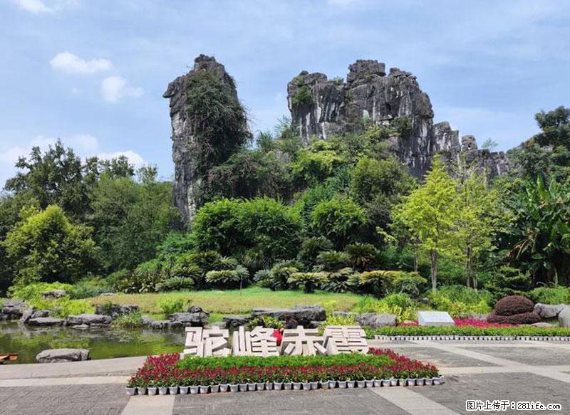 桂林旅游必去十大景点:象鼻山、独秀峰、两江四湖、七星公园、漓江、龙脊梯田、阳朔西街、遇龙河、银子岩等 - 游山玩水 - 怀化生活社区 - 怀化28生活网 hh.28life.com