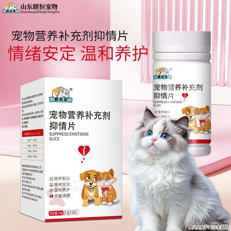 猫狗发情闹得人崩溃？美佳星抑情片，温和安稳度过发情期 - 其它 - 宠物信息 - 北京分类信息 - 北京28生活网 bj.28life.com