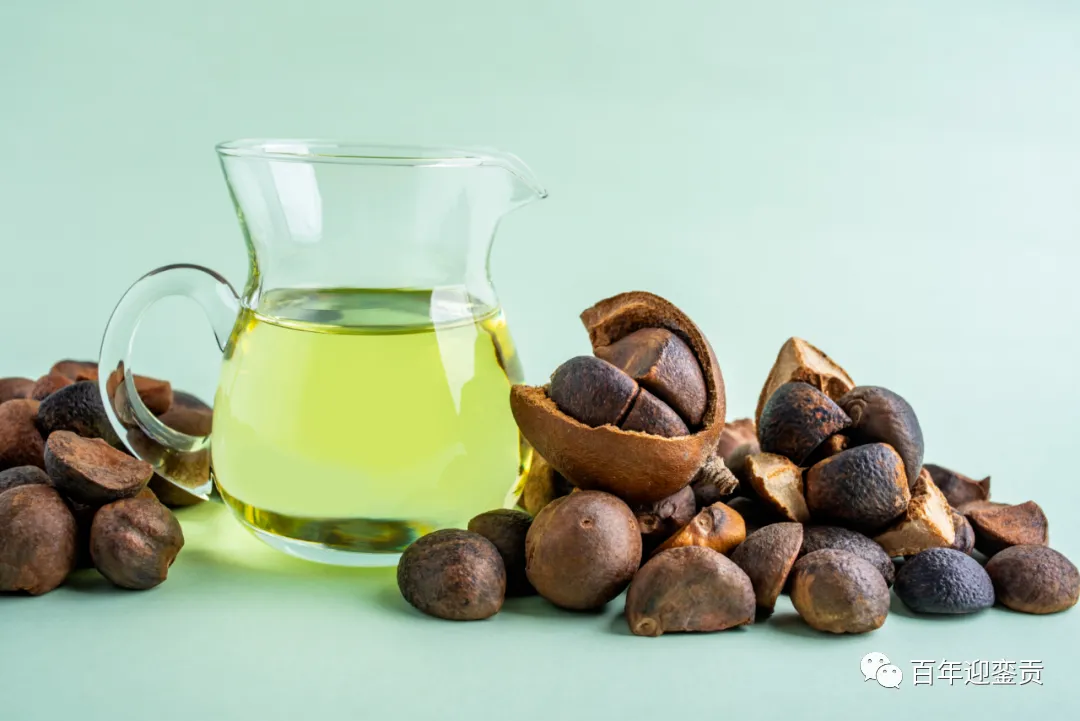 世界没有真相,只有认知,最好的食用油是中国的山茶油! - 北京生活资讯 - 北京28生活网 bj.28life.com