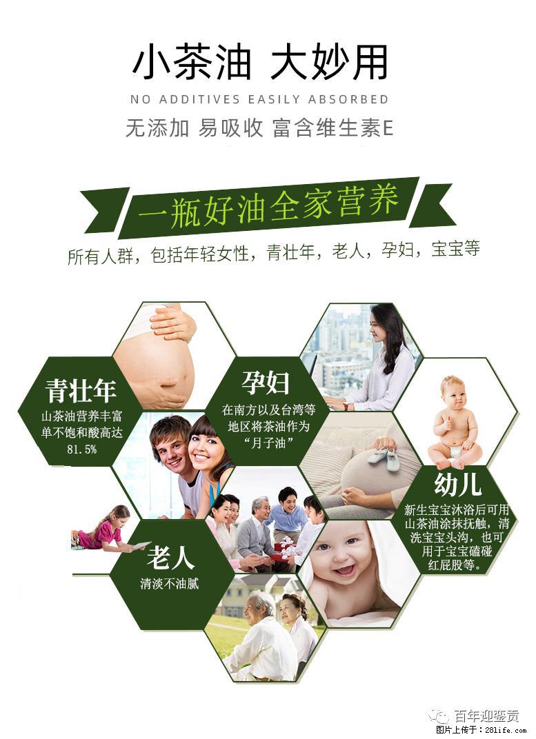 世界没有真相,只有认知,最好的食用油是中国的山茶油! - 北京生活资讯 - 北京28生活网 bj.28life.com