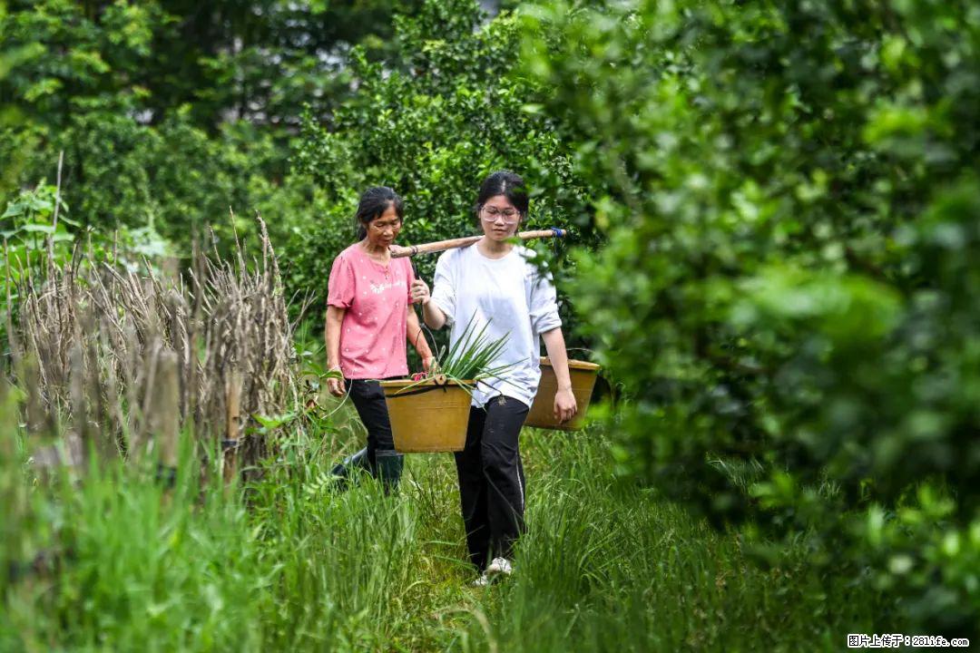 全网追的“扁担女孩”,找了一份暑假工,时薪12元 - 北京生活资讯 - 北京28生活网 bj.28life.com