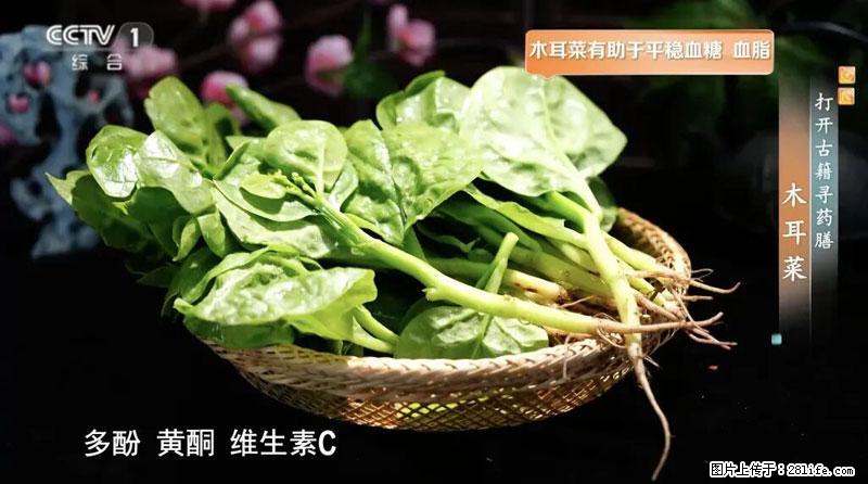 比牛奶补钙还厉害！凉血解毒、稳血糖...这菜冬天必吃，很多人却当草 - 北京生活资讯 - 北京28生活网 bj.28life.com