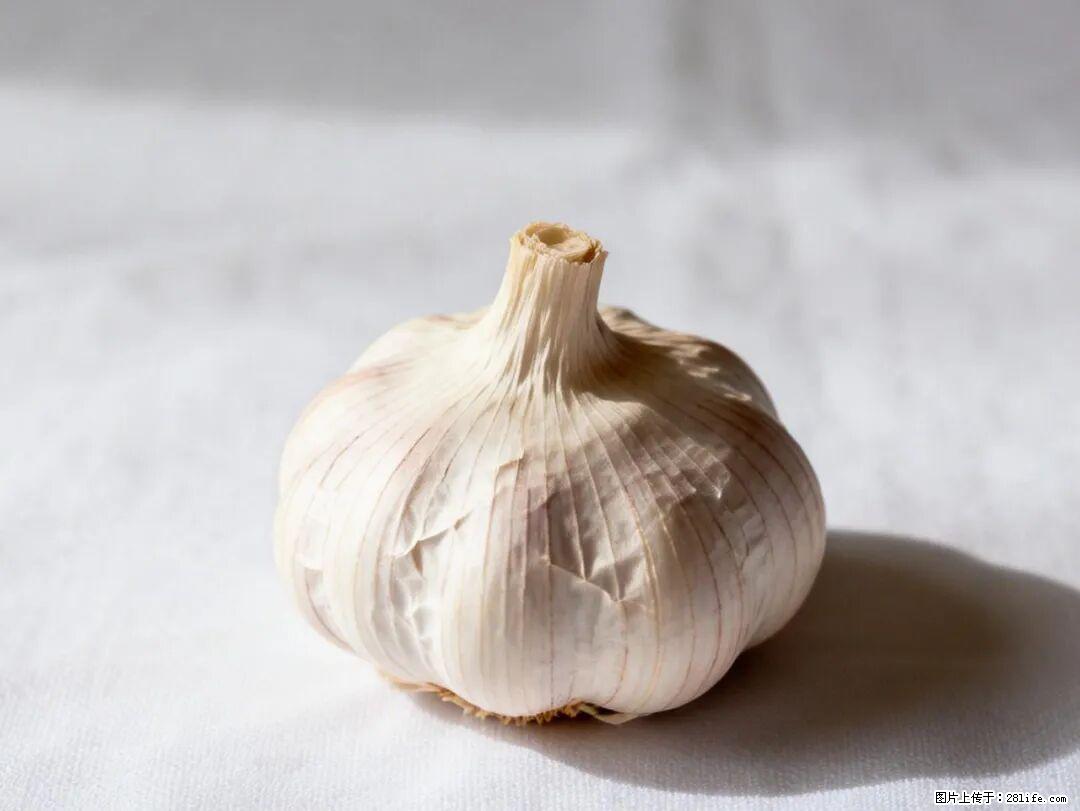 关于大蒜，除了“天然抗生素”，这4个谣言更该警惕! - 北京生活资讯 - 北京28生活网 bj.28life.com