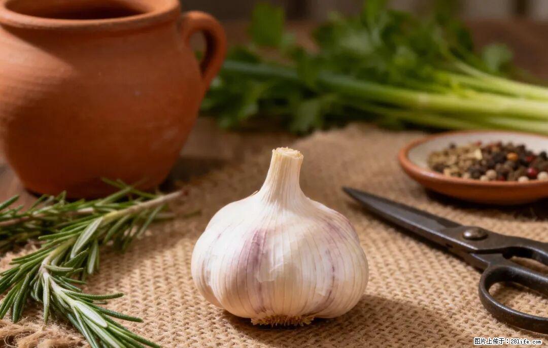 关于大蒜，除了“天然抗生素”，这4个谣言更该警惕! - 北京生活资讯 - 北京28生活网 bj.28life.com