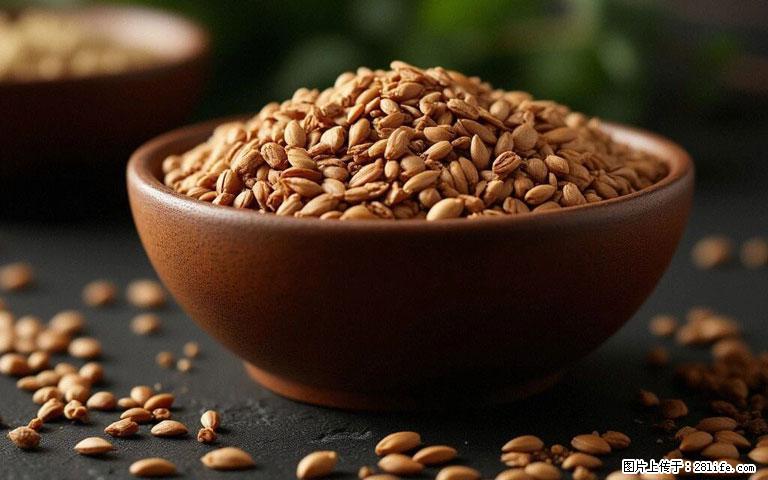 这三苦是三高“克星”，心血管干净不易堵！每天吃一点，指标慢慢降下来~ - 北京生活资讯 - 北京28生活网 bj.28life.com