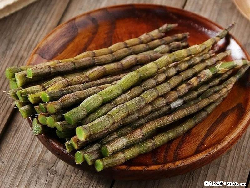 铁皮石斛的作用与功能主治 - 北京生活资讯 - 北京28生活网 bj.28life.com