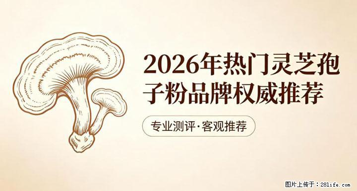 灵芝孢子粉含量越高越有效？2026 年七款热门品牌深度实测，肠胃敏感者避坑指南 - 北京生活资讯 - 北京28生活网 bj.28life.com