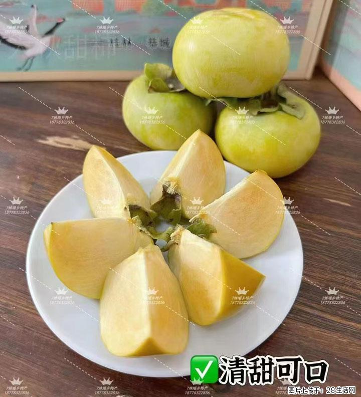 广西桂林平乐桥亭【红心猕猴桃】、【大秋甜柿】上市啦，欢迎各位新老客户下单（另有少量小果出售） - 北京生活资讯 - 北京28生活网 bj.28life.com
